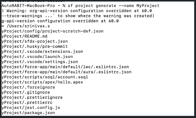 Standard SFDX directory tree