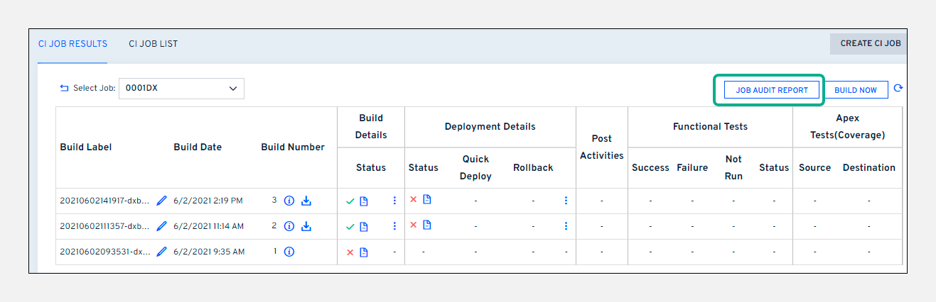 Job Audit Report button
