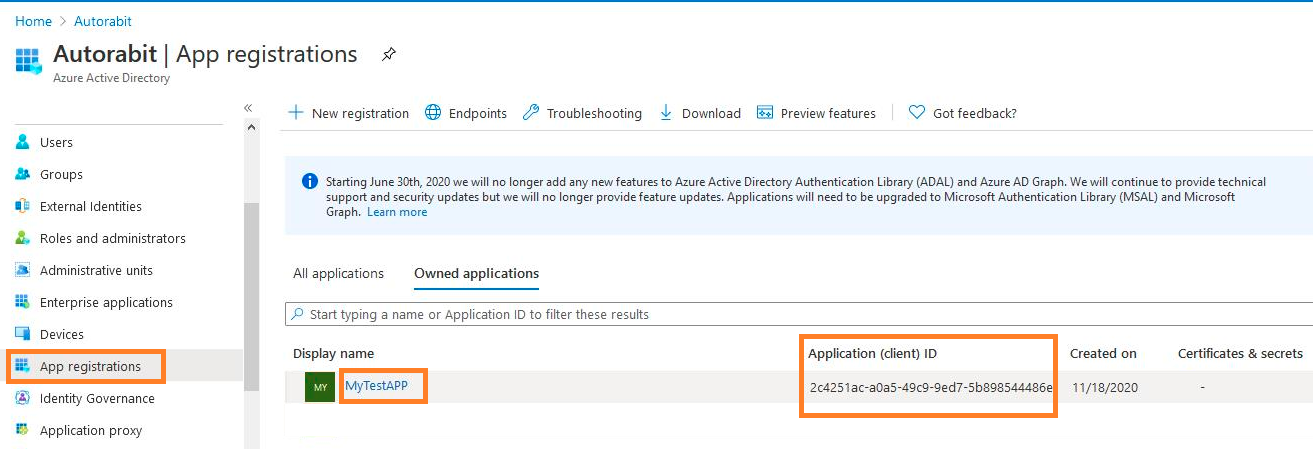 Application ID shown in portal